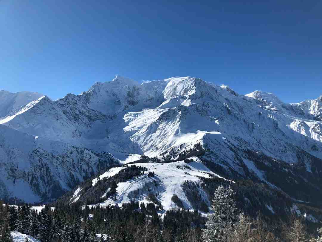 Combien de gramme de proteine dans un blanc d oeuf