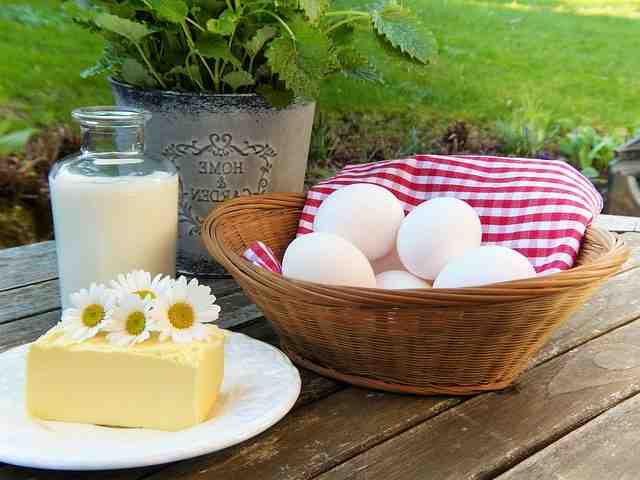 Quel est l'aliment le plus Proteiné ?