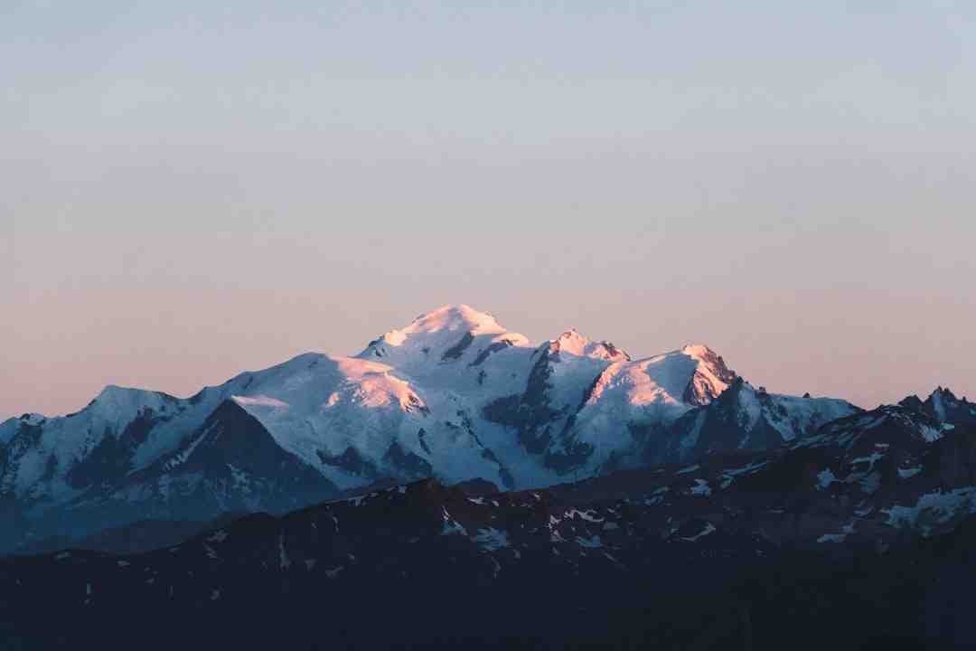 Quelle vitamine dans le blanc d'œuf ?